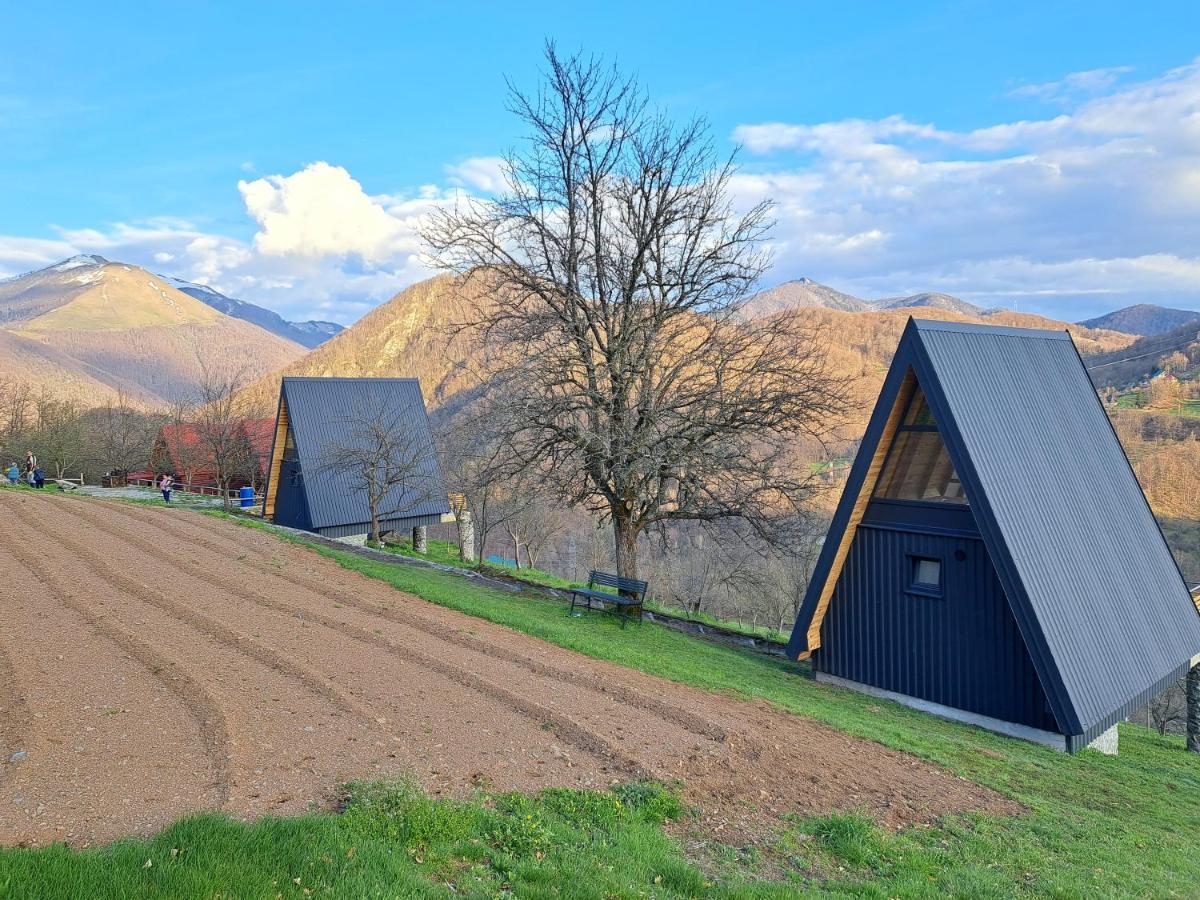 Fern Farm Tiny Home Mojkovac Extérieur photo