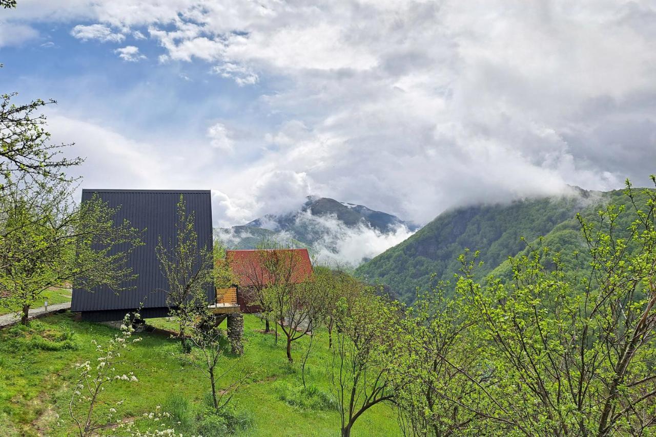 Fern Farm Tiny Home Mojkovac Extérieur photo