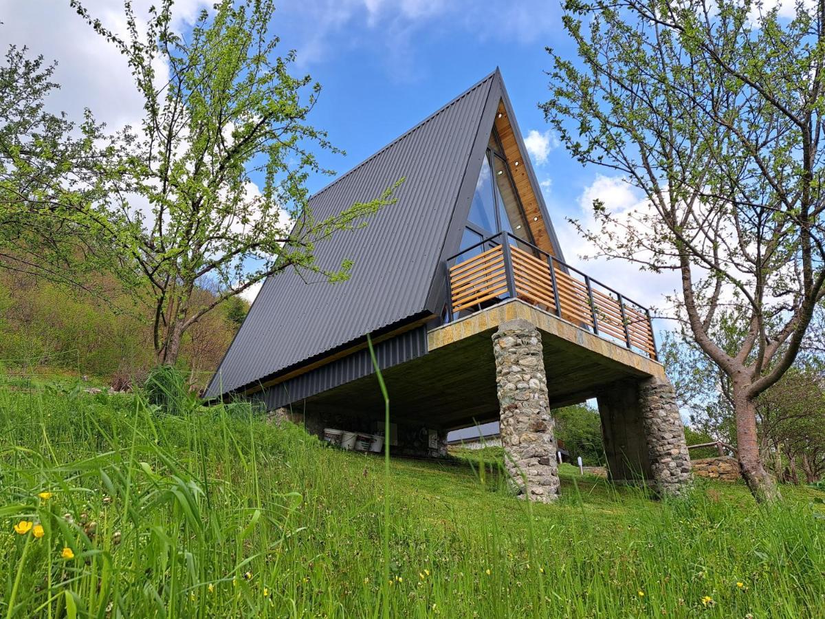 Fern Farm Tiny Home Mojkovac Extérieur photo