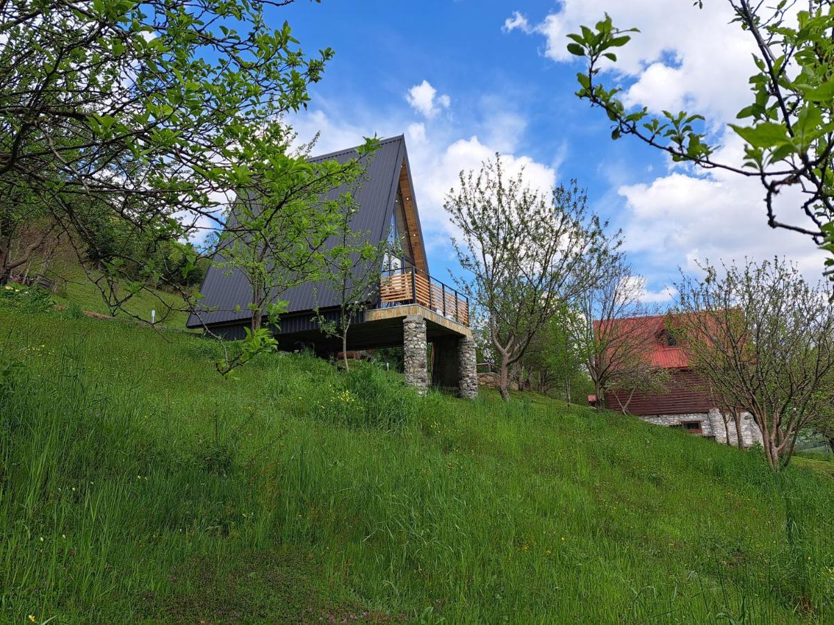 Fern Farm Tiny Home Mojkovac Extérieur photo