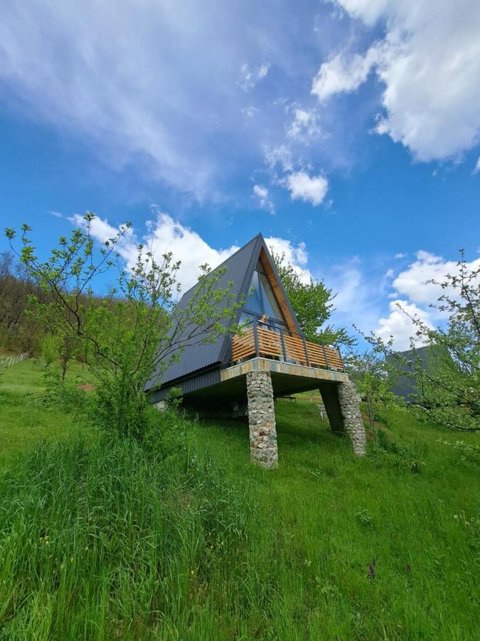 Fern Farm Tiny Home Mojkovac Extérieur photo