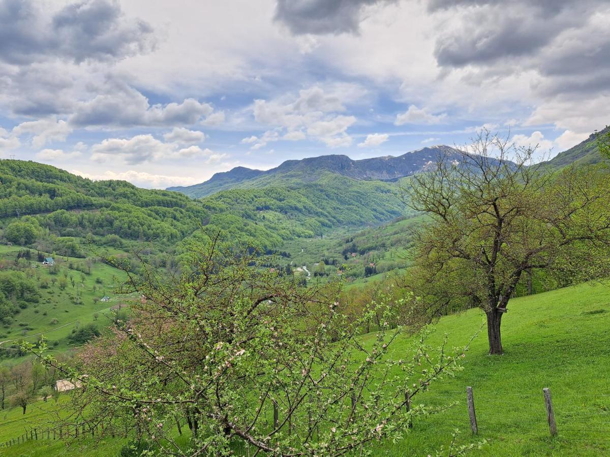 Fern Farm Tiny Home Mojkovac Extérieur photo