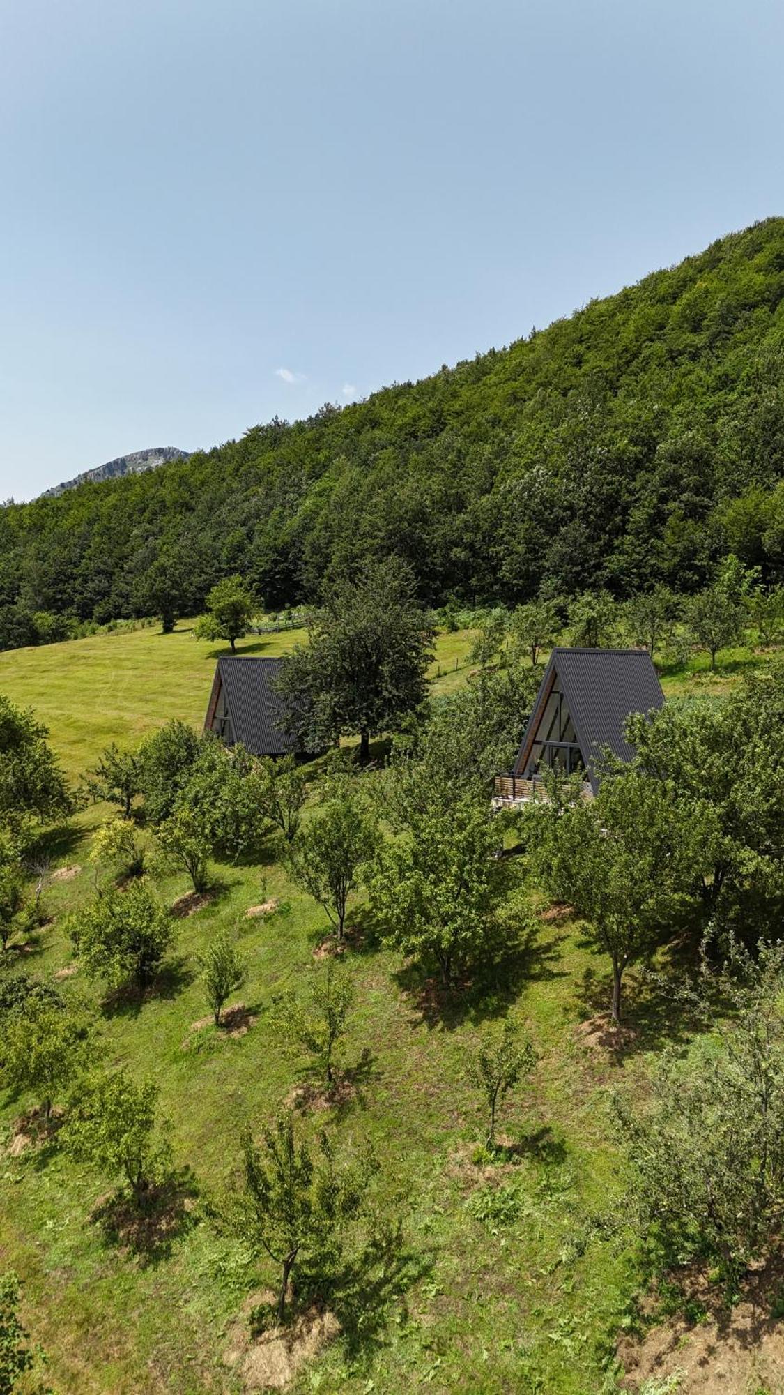 Fern Farm Tiny Home Mojkovac Extérieur photo