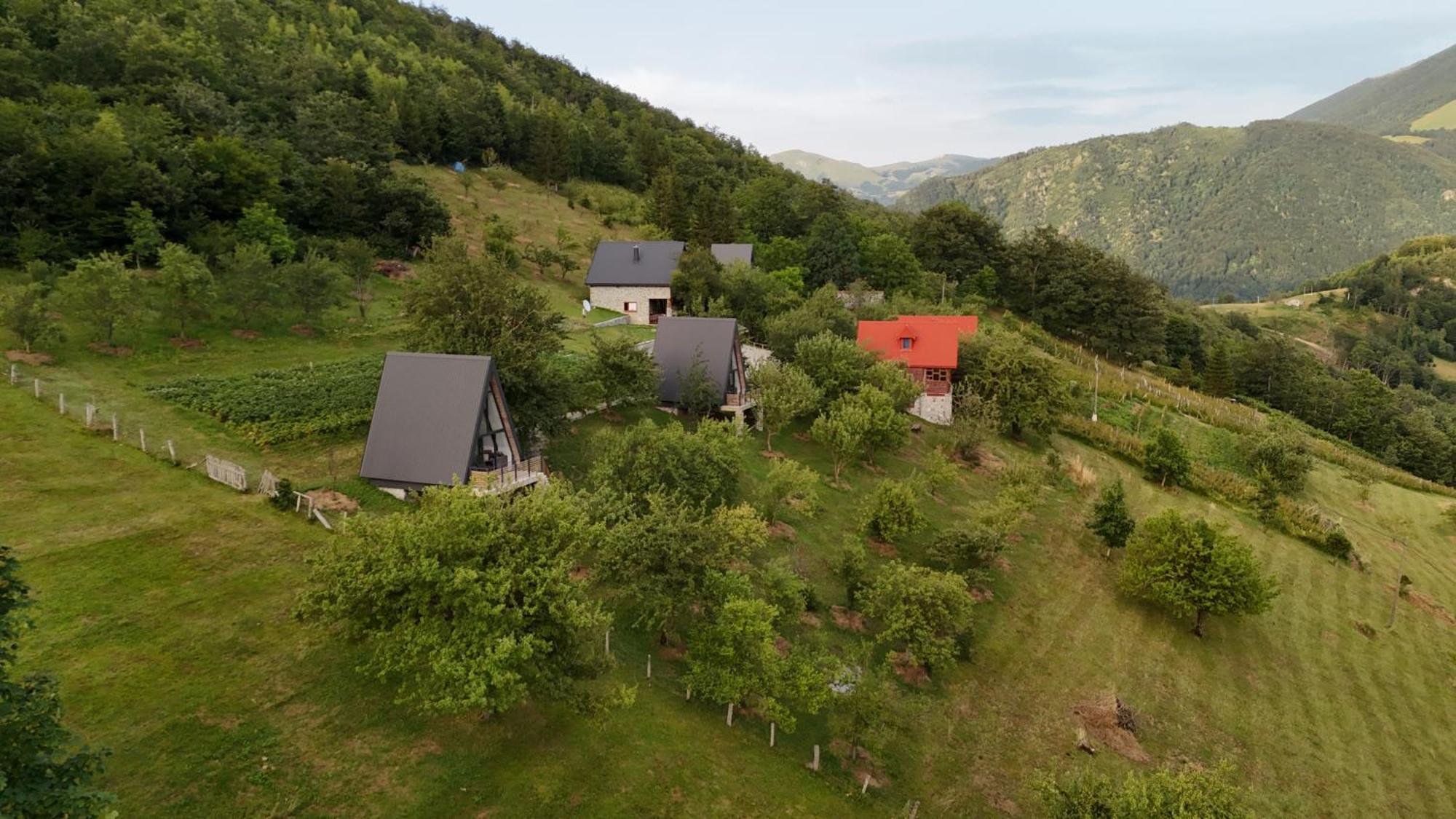 Fern Farm Tiny Home Mojkovac Extérieur photo