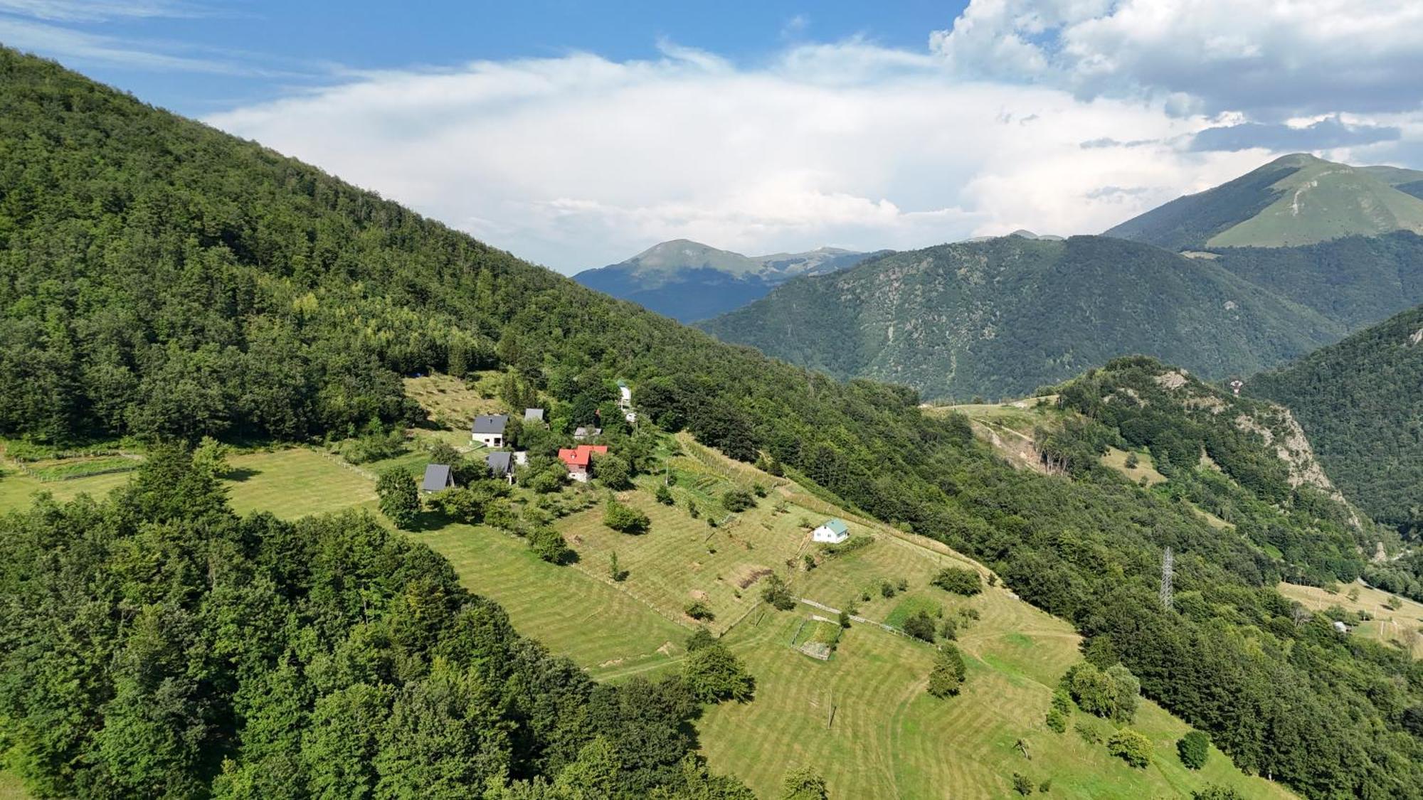 Fern Farm Tiny Home Mojkovac Extérieur photo